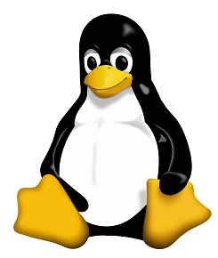 Linux UNIX ClearCase