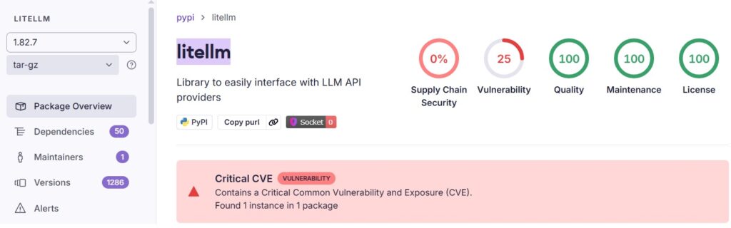 socket litellm detection