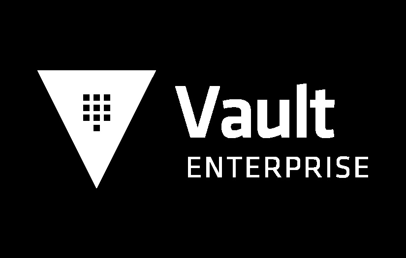 vault enterprise logo